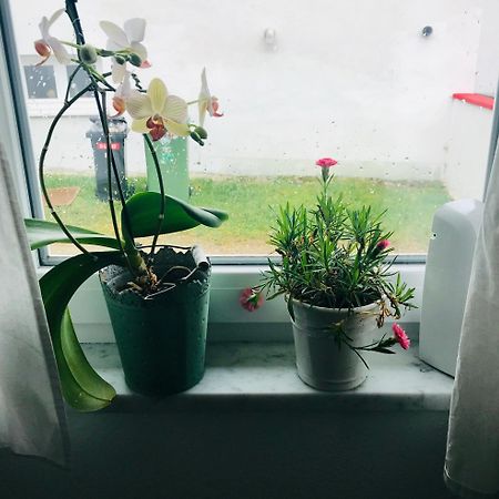 La Toskana Apartment Ihr Rueckzugsort Am Regen Zeitlarn Extérieur photo