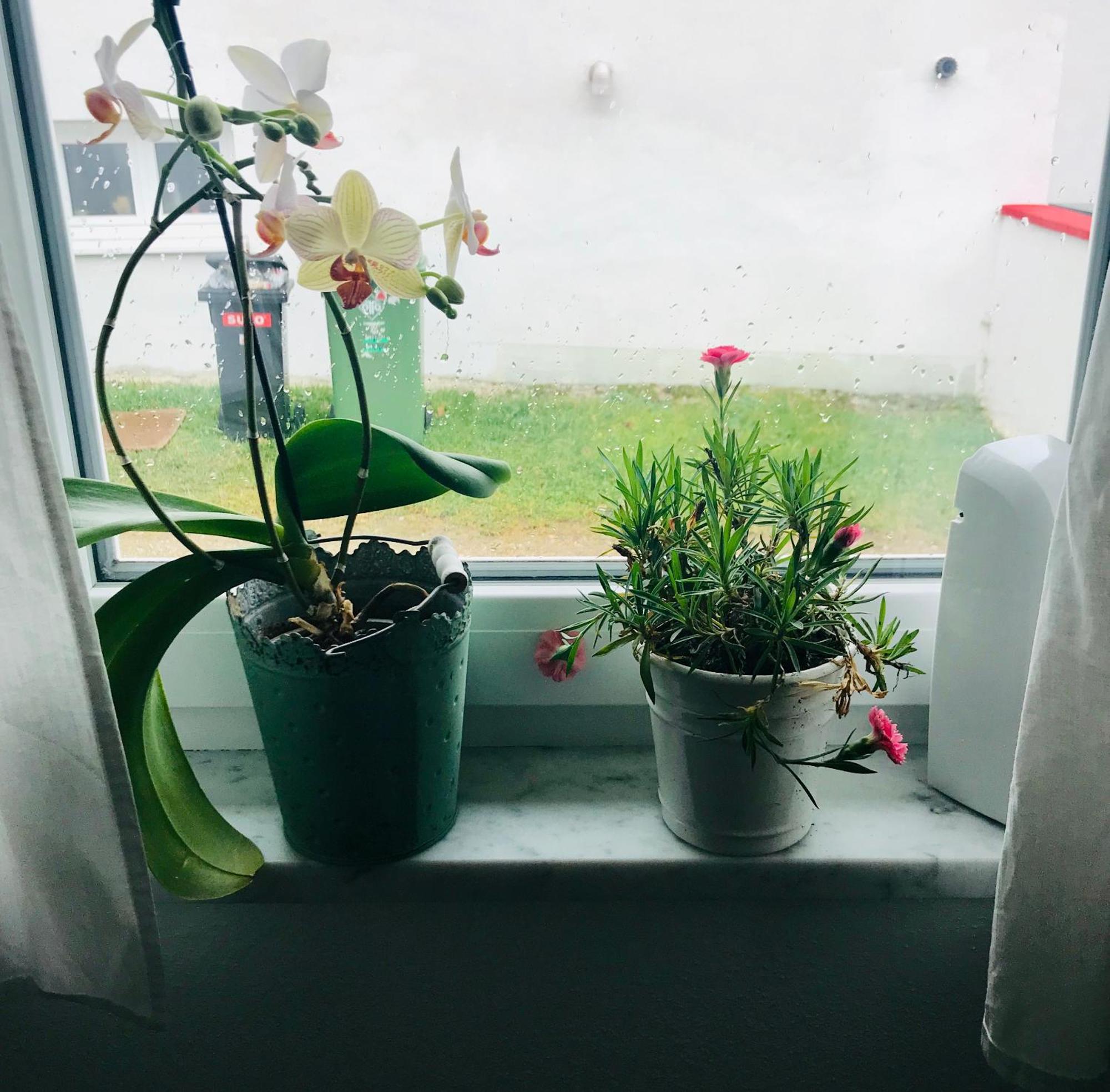 La Toskana Apartment Ihr Rueckzugsort Am Regen Zeitlarn Extérieur photo